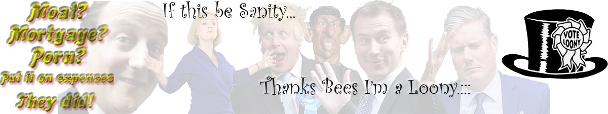 Saniity Bees